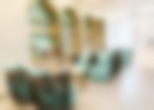 温州鹿城蓝芽口腔门诊部基本信息