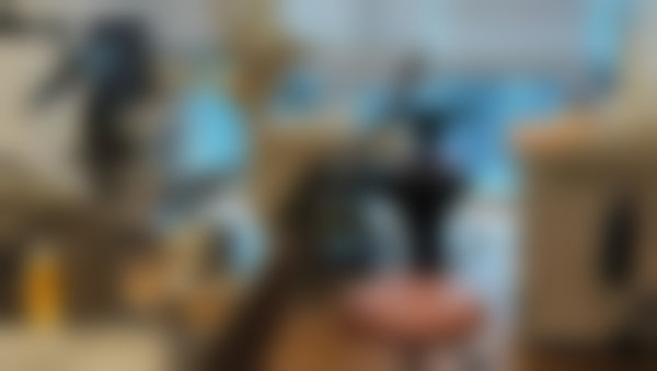 成都多乐儿童齿科门诊部正规吗?