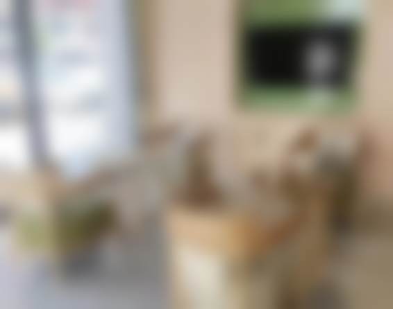 安徽六安悦牙口腔门诊部正规吗？