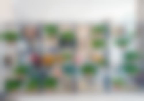 廊坊圣洁口腔（新开路院）正规吗？