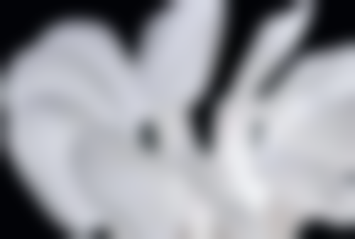 山东鑫夏张店东二路口腔诊所基本信息