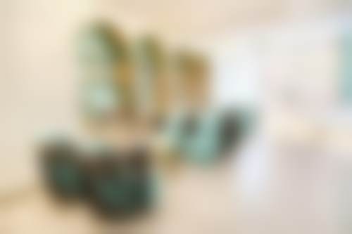 温州鹿城蓝芽口腔门诊部赵微医生患者评价