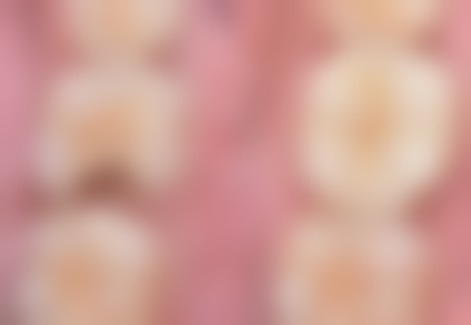 上海茂菊口腔门诊部占红镇医生社会职称