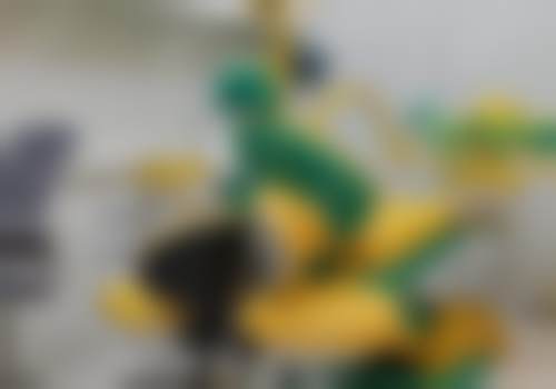 北京维乐口腔门诊部（方庄店）綦健预约挂号常见问题