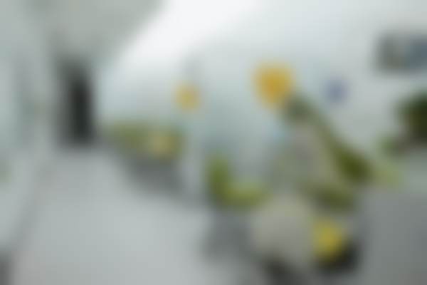 北京禾禾口腔门诊部王犇医生预约挂号指南